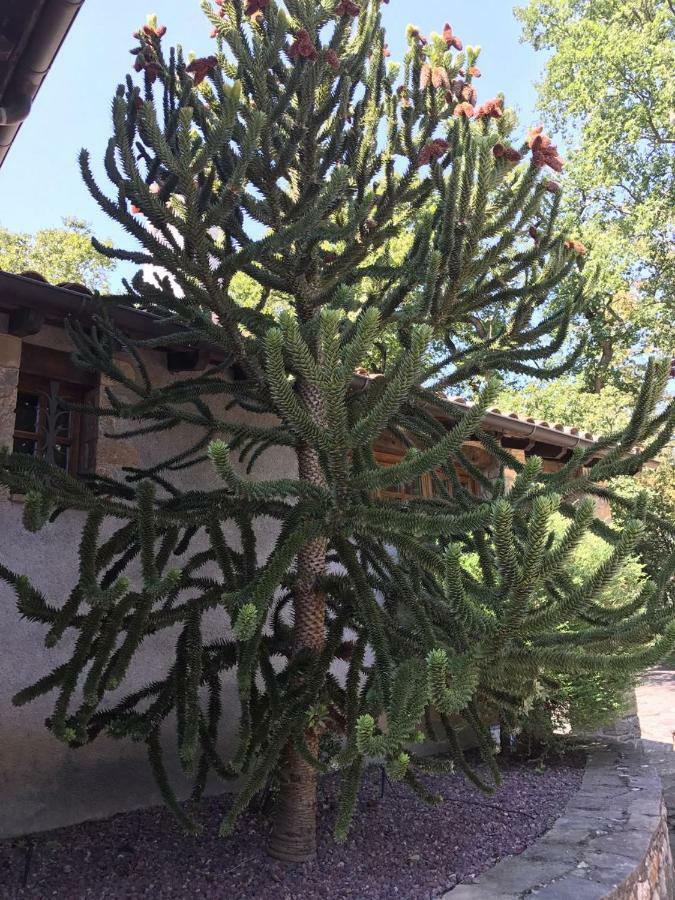 Casa Boix Holiday home La Vall de Bianya