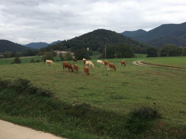 Holiday home Casa Boix