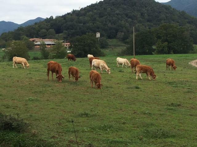 Casa Boix Holiday home La Vall de Bianya